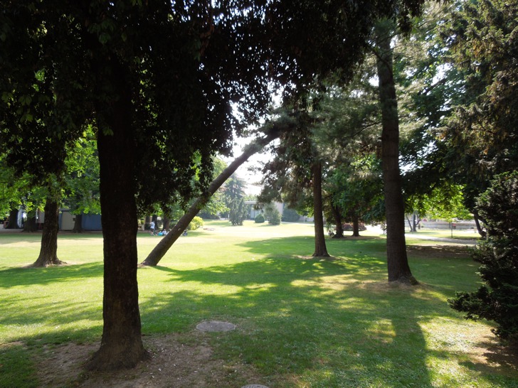 Bäume im Parco Civico